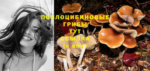 прущие крисы Кукмор