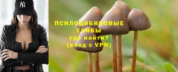 прущие крисы Кукмор