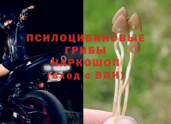 прущие крисы Кукмор