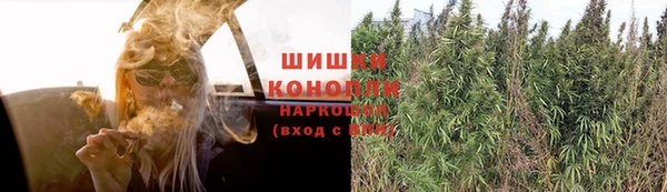 прущие крисы Кукмор
