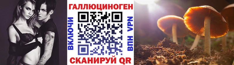 Купить где  Туймазы  Псилоцибиновые грибы Psilocybe 
